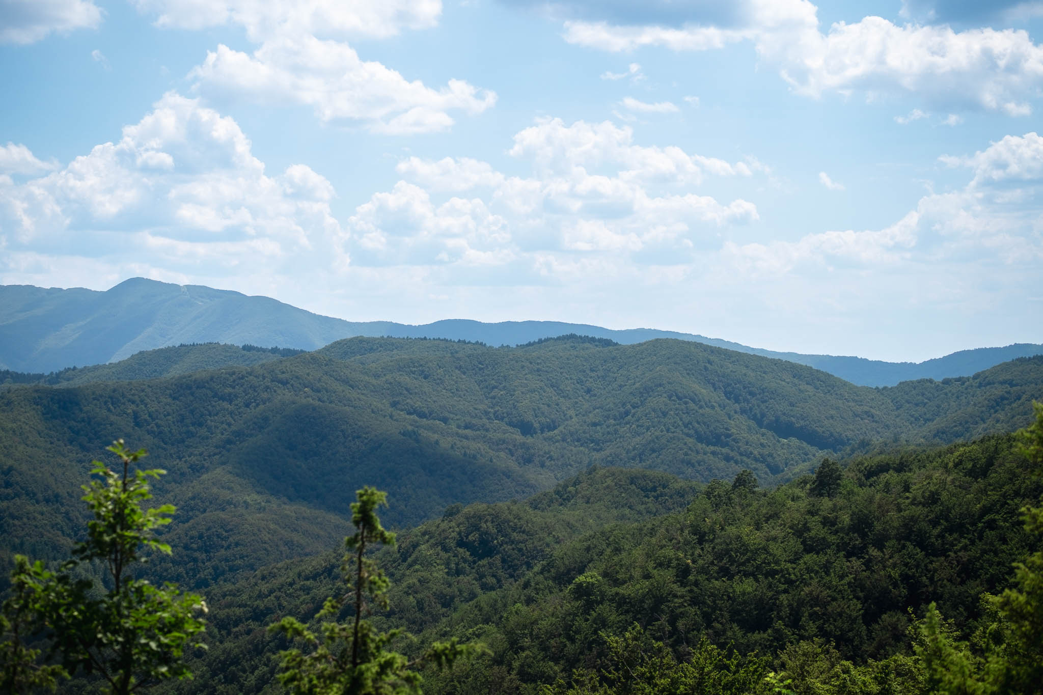 Acquacheta Waterfall